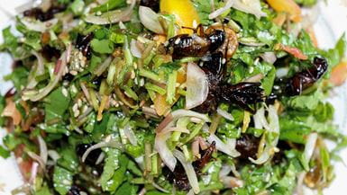 A photo of a cricket and insect salad.