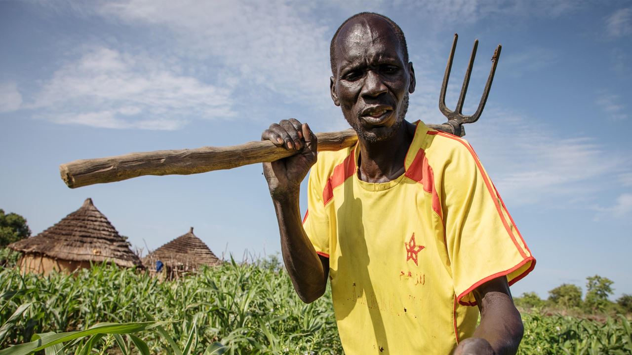 Un agricultor muestra las semillas de sésamo que cultiva en su campo cerca de la ciudad de Warwar en Aweil, Sudán del Sur. Foto: Will Swanson/Tearfund