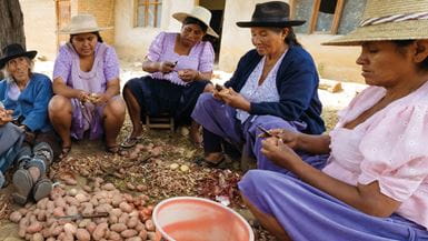 Group of Andean women in traditional dress peeling potatoes outdoors.