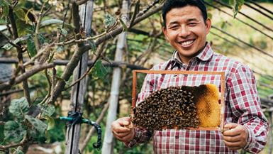Happy beekeeper holds a honey frame filled with bees in a garden setting.