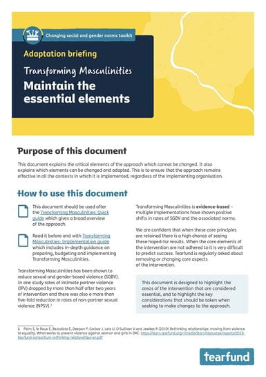 Cover of Transforming masculinities maintaining essential elements