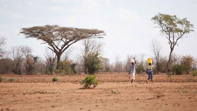 A wide landscape shot of an arid, reddish-brown field with sparse trees. Two people are walking away from the camera across the dry ground, each balancing a large bucket on their head. One person carries a white bucket, while the other carries a yellow bucket and has a small child strapped to their back.