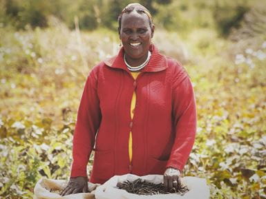 Le revenu de Hakule Dida a augmenté quand elle a commencé à cultiver des haricots mungo au lieu du maïs et des haricots.  Photo : Farm Concern International (FCI)