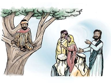 O curso de justiça restaurativa do Sycamore Tree Project deve seu nome à história de Zaqueu. Ilustração: Petra Röhr-Rouendaal, Where there is no artist (segunda edição) 