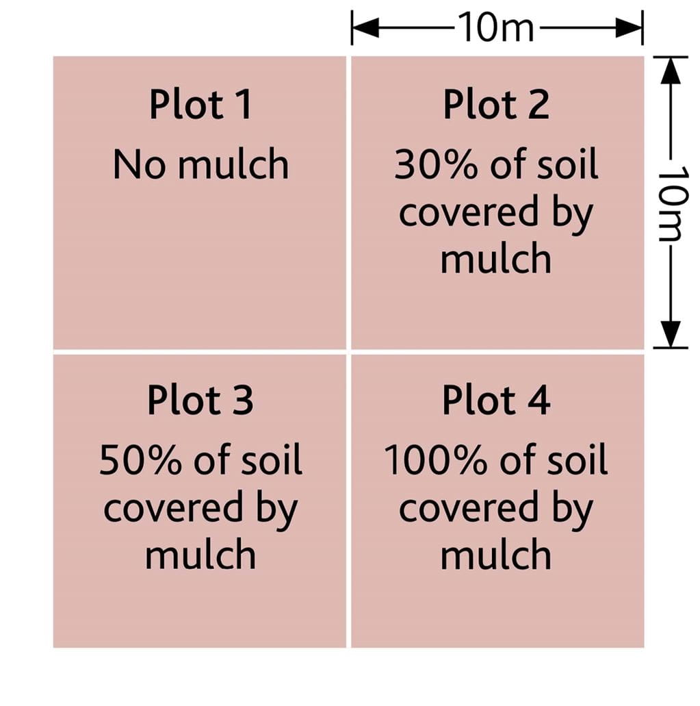 Diagram of a mulching experiment across four plots. Illustration: Wingfinger