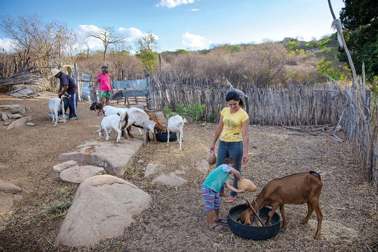 Livestock are an important part of Maria’s farming system. Photo: Thomas Lohnes