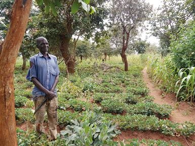 Thanks to farmer-managed natural regeneration, this farmer in Malawi is now able to grow many different crops and trees, increasing his income and quality of life. Photo: Tony Rinaudo/World Vision Australia