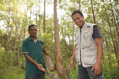 Learning tree regeneration techniques in East Timor. Photo: World Vision Australia