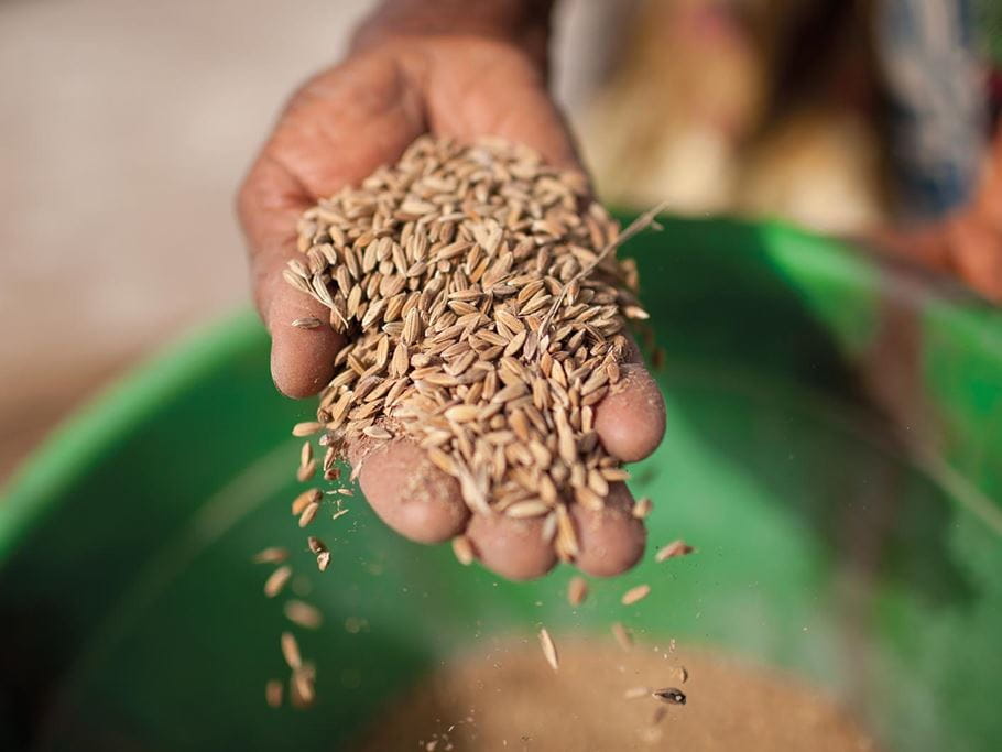 Articles: Handful of rice - Tearfund Learn