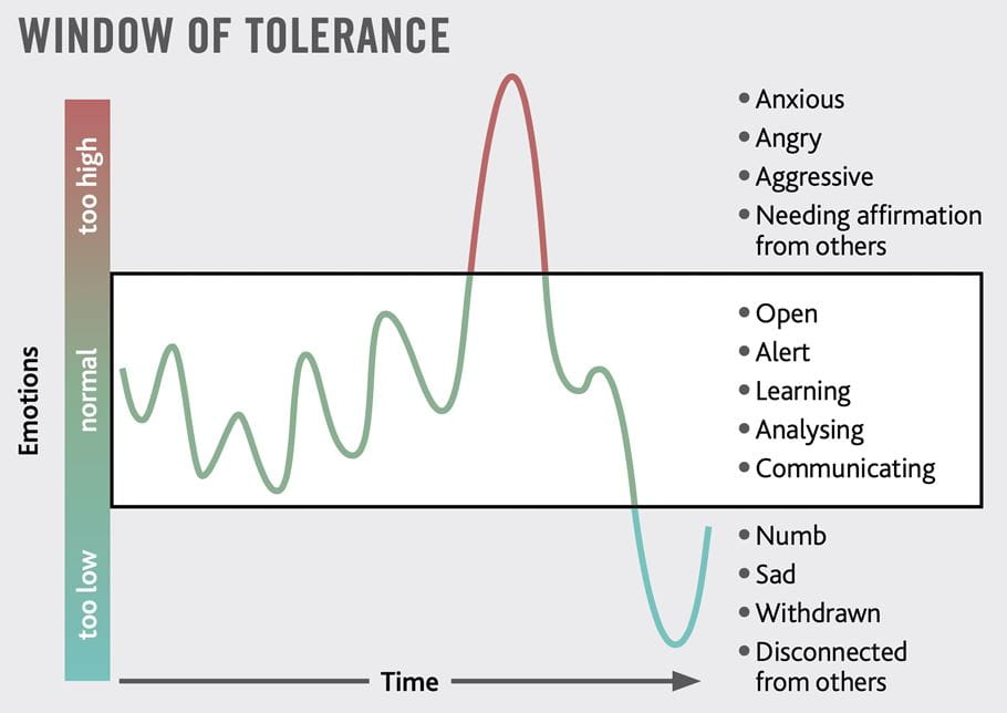 A graph showing the window of tolerance.