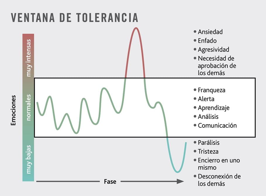 Gráfico que ilustra la ventana de tolerancia