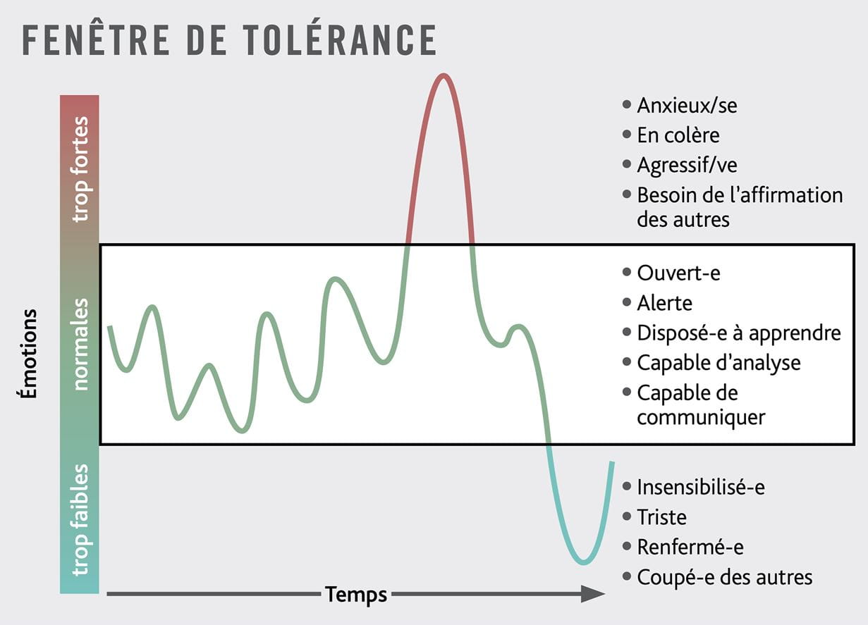 Graphique présentant la fenêtre de tolérance, en français.