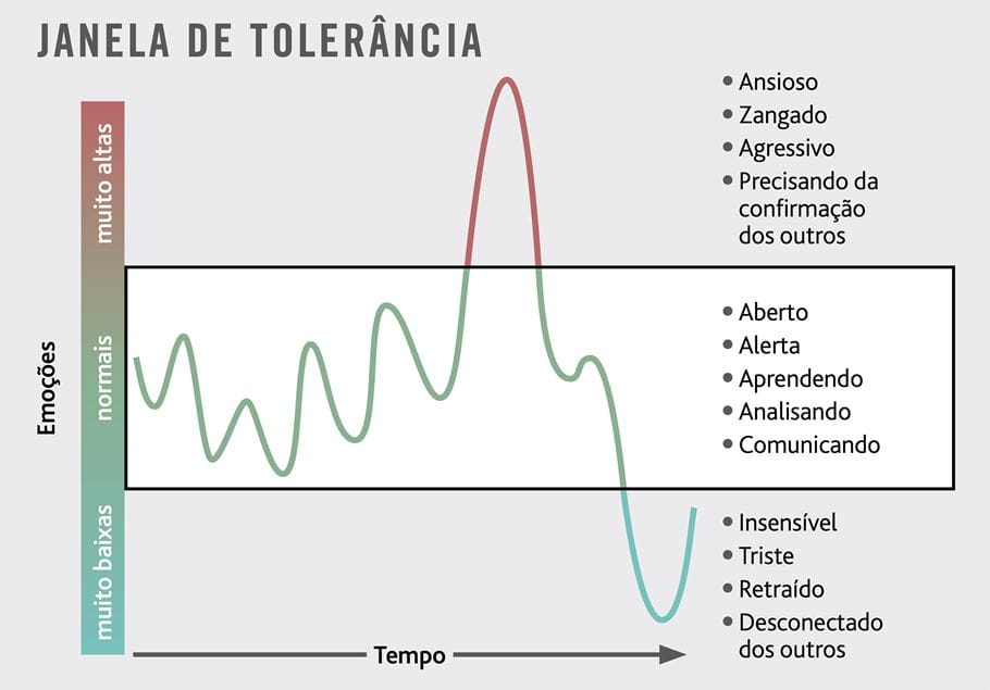 Um gráfico mostrando a janela de tolerância, em português