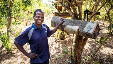 Sainani Bikitala is proud of both his trees, and his bees.