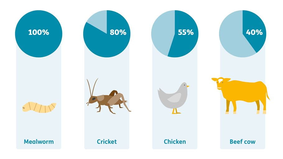 Percentage of each animal that can be eaten