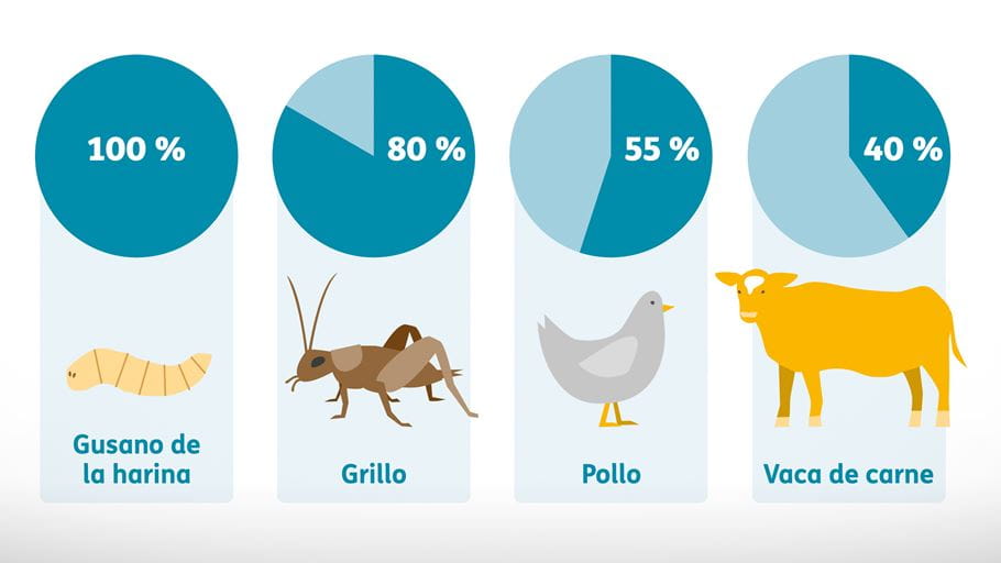 Porcentaje comestible de cada animal