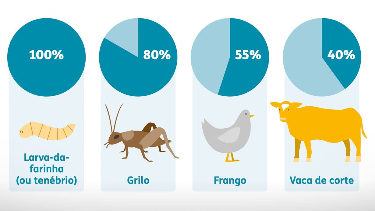 Porcentagem de cada animal que pode ser consumida