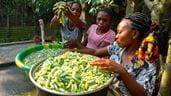 Women in the Democratic Republic of Congo clean caterpillars harvested from the trees surrounding their village. 