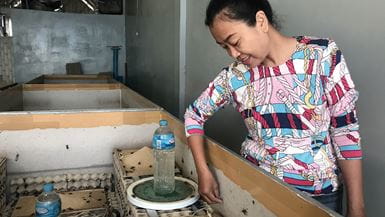 Uma senhora chamada Chan Tola alimentando e dando água aos seus grilos e usando caixas de ovos como abrigo para eles