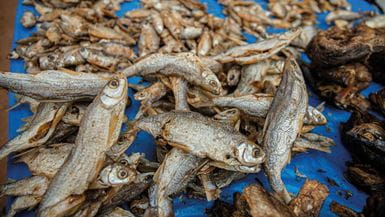 Dried fish laid out on a blue cloth