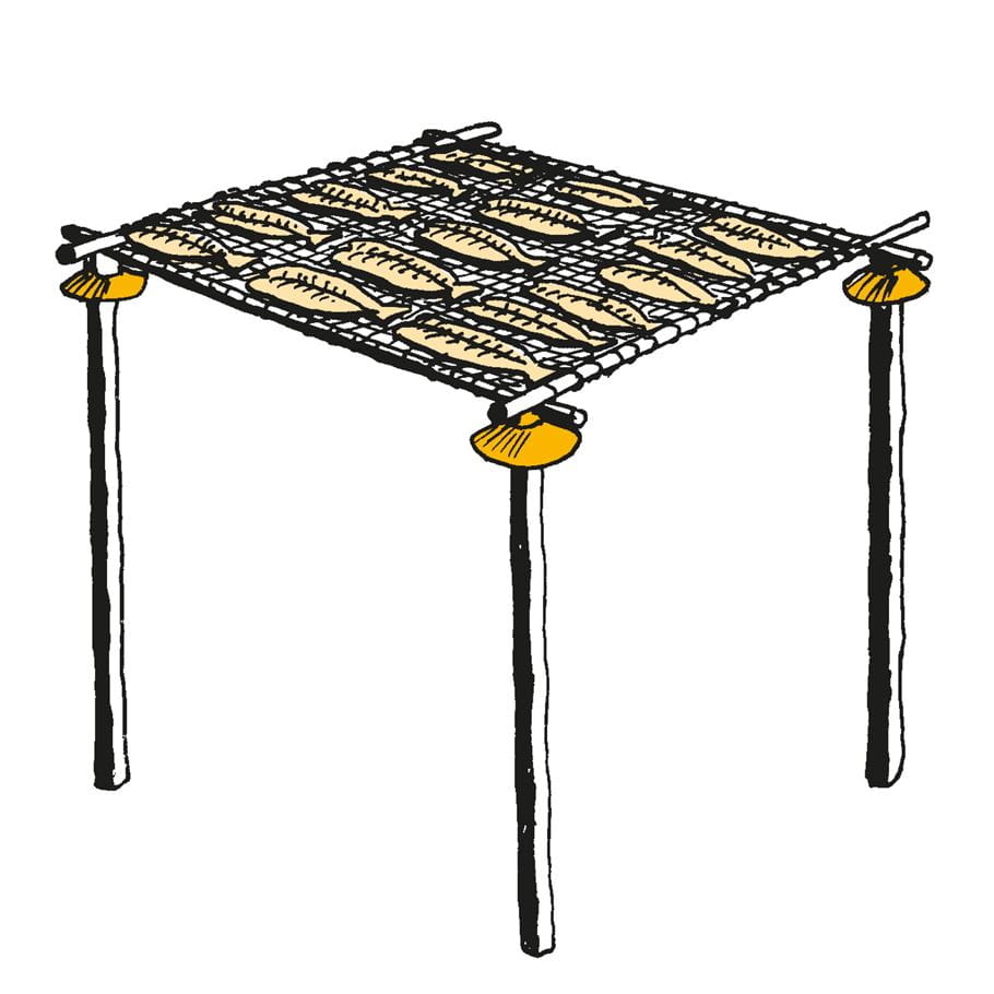 La ilustración muestra peces sobre una malla sostenida por un marco de madera, elevada sobre el suelo por patas de madera.