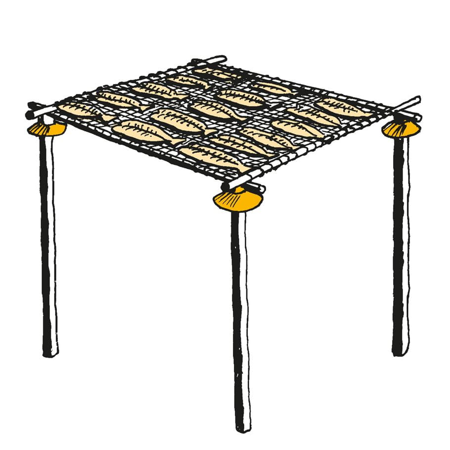 Illustration d'une structure en bois surélevée sur des pieds avec des poissons posés sur une grille  