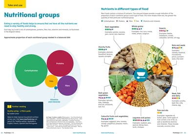 A poster illustrating the amount and types of nutrients in different types of food