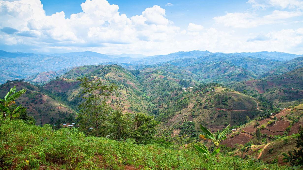 A view of rolling hills in Burundi, partly covered with trees
