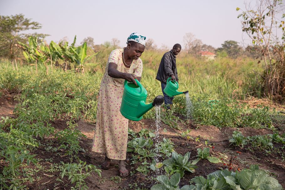 Au Sud Soudan, une femme vêtue d’une robe longue et un homme en arrière-plan arrosent les légumes de leur ferme à l’aide d’arrosoirs en plastique vert.