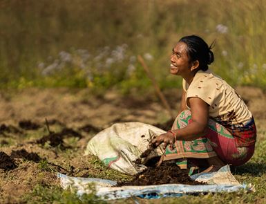 A smiling Nepali woman squats down and places compost from a bag around the plants in a field.