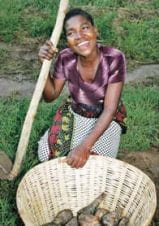 Bertha, portadora do HIV, cultiva e vende batatas-doces como meio de sobrevivência sustentável. Photo: Peter Caton/Tearfund