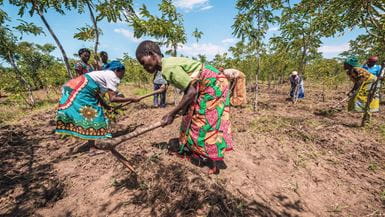 Three women, wearing colourful printed dresses, work in the field and til the ground with shovels.