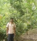 Rofinus Nafir à la lisière de sa plantation forestière. Ayo Indonesia Foundation