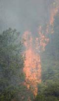 Incêndio florestal iniciado em Honduras por um agricultor local que não manteve uma distância larga o suficiente entre as suas terras e a floresta na encosta de uma colina ao usar técnicas de queimada. Foto: Geoff Crawford/Tearfund