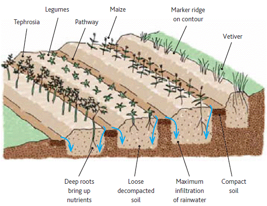 Soil care