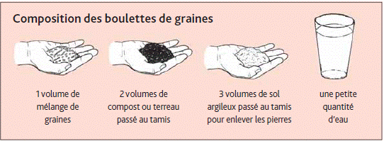 Composition des boulettes de graines