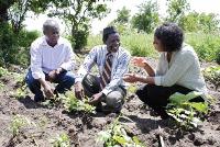 Tearfund partner talking to local people in Malawi about farming practices