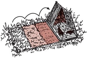 Systematic, regular movement of chicken houses and chicken runs helps prevent worm infections and allows the ground to recover from pecking and scratching. The house shown here has a floor of wire netting and is suitable for hens with young chicks. Illustration: Agromisa Foundation and CTA