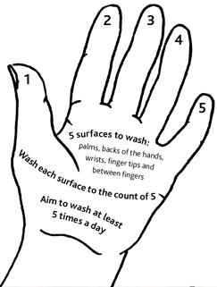 When washing hands, use the number five to help you do it really well.