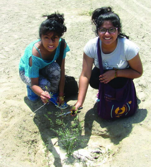 En Perú, los niños aprenden a cultivar plantas de vivero de árboles con la organización A Rocha. Foto: Ramón Casana Araujo/A Rocha Perú