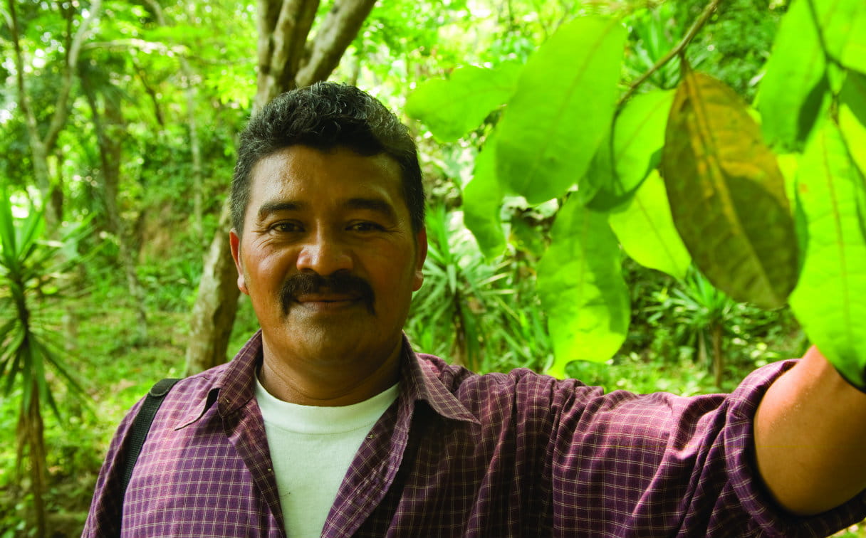 As florestas estão sendo protegidas em Honduras como resultado dos esforços de defesa e promoção de direitos de uma organização parceira da Tearfund. Foto: Geoff Crawford/Tearfund