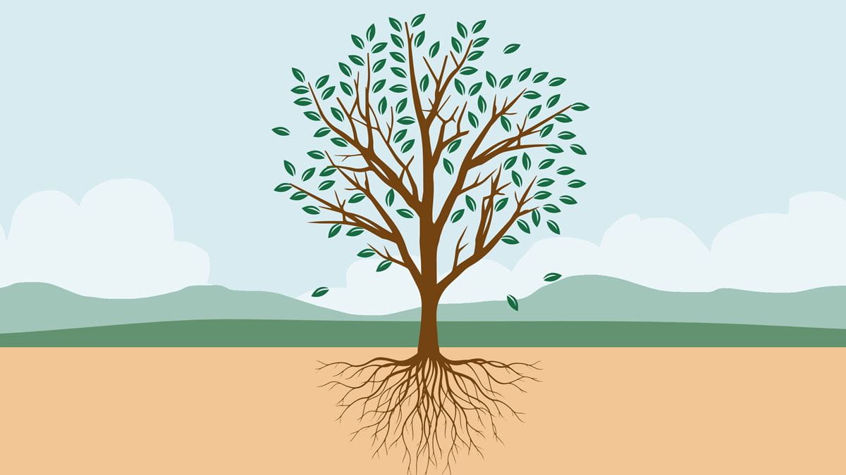 Online courses: Problem tree tool (short course) - Tearfund Learn