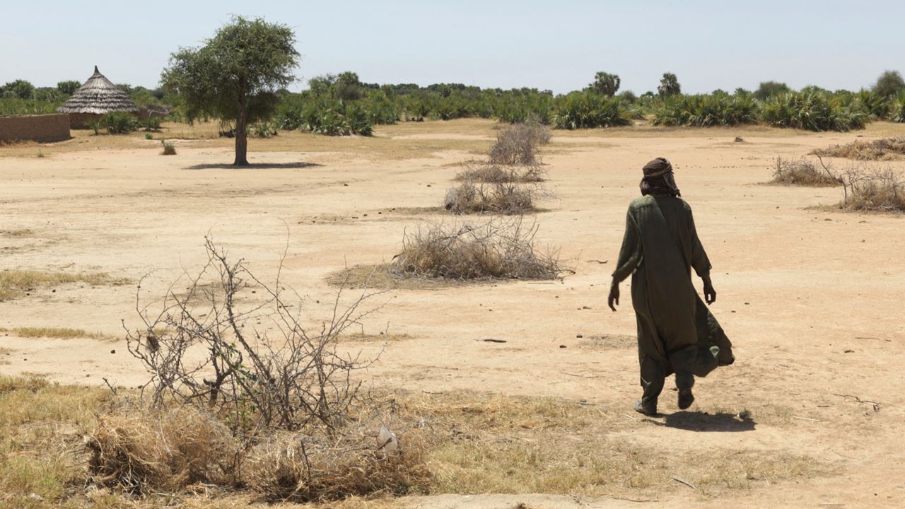 Iqbal Banka, the chairman of the Risk and Disaster Association at a desertification barrier in Chad. 