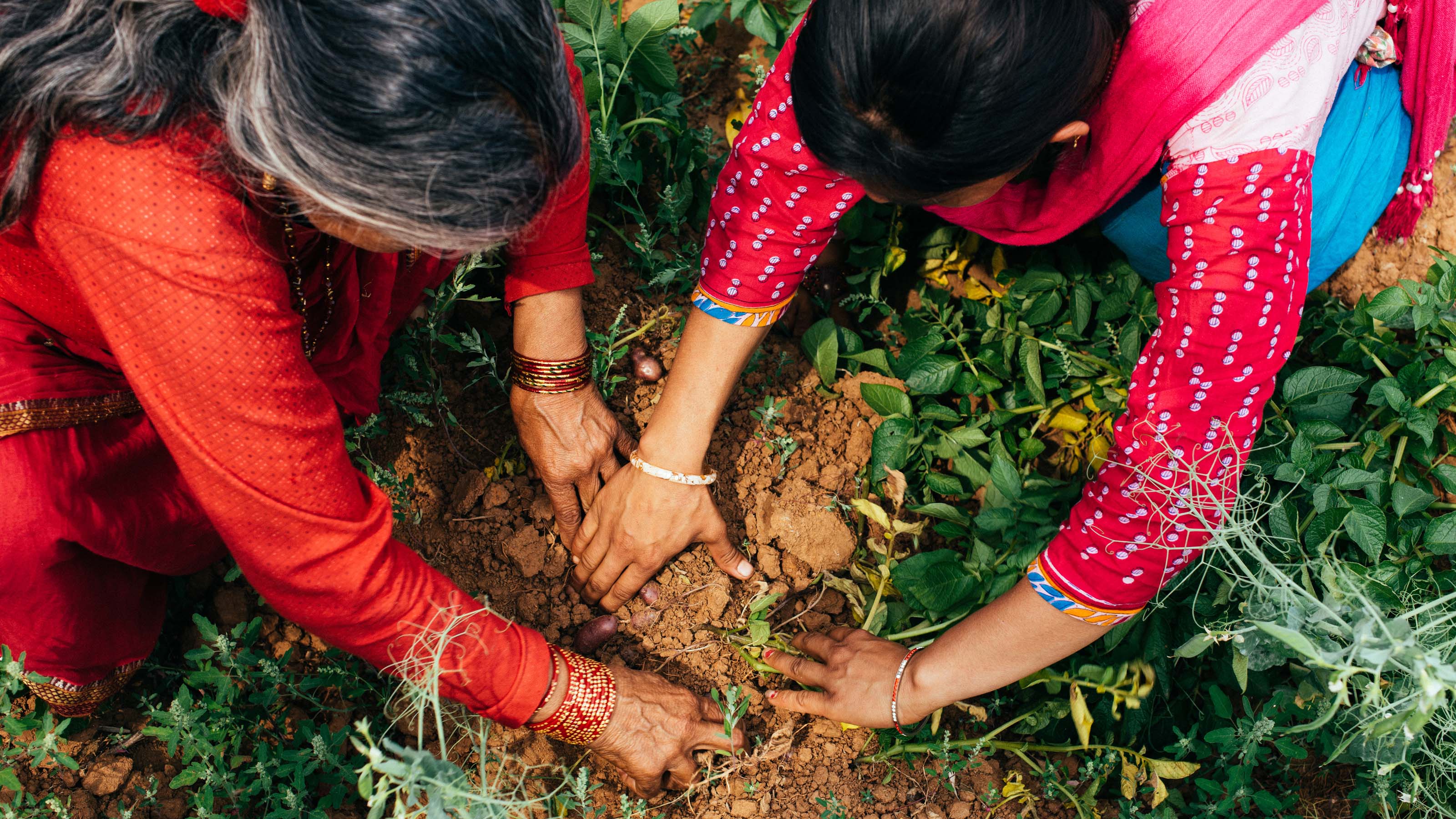 Research Reports: With You In The Storm - Tearfund Learn