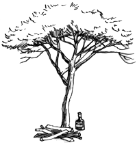 Illustration of a man sitting under a tall tree