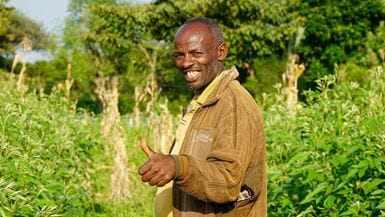Emiyas, agriculteur éthiopien, sourit et lève le pouce dans un champ entouré d’arbres.