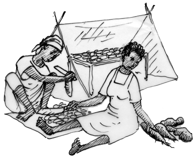 Illustration de deux femmes en train de travailler ensemble pour sécher des racines de plantes.