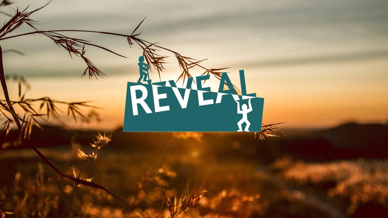 Reveal logo - Tools to support community transformation