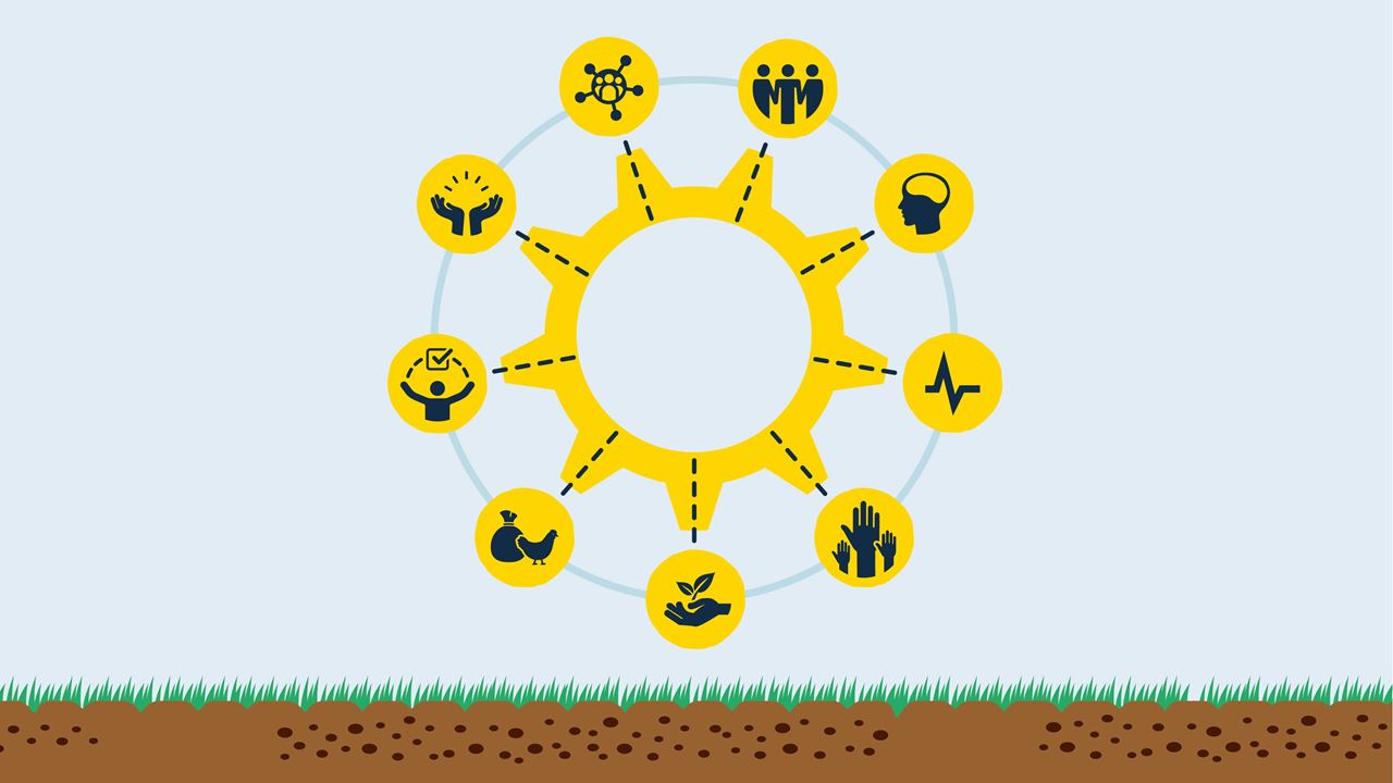 Cover illustration of the 'Light Wheel' framework for measuring change holistically