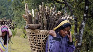 Uma jovem carregando uma pesada cesta de lenha nas costas